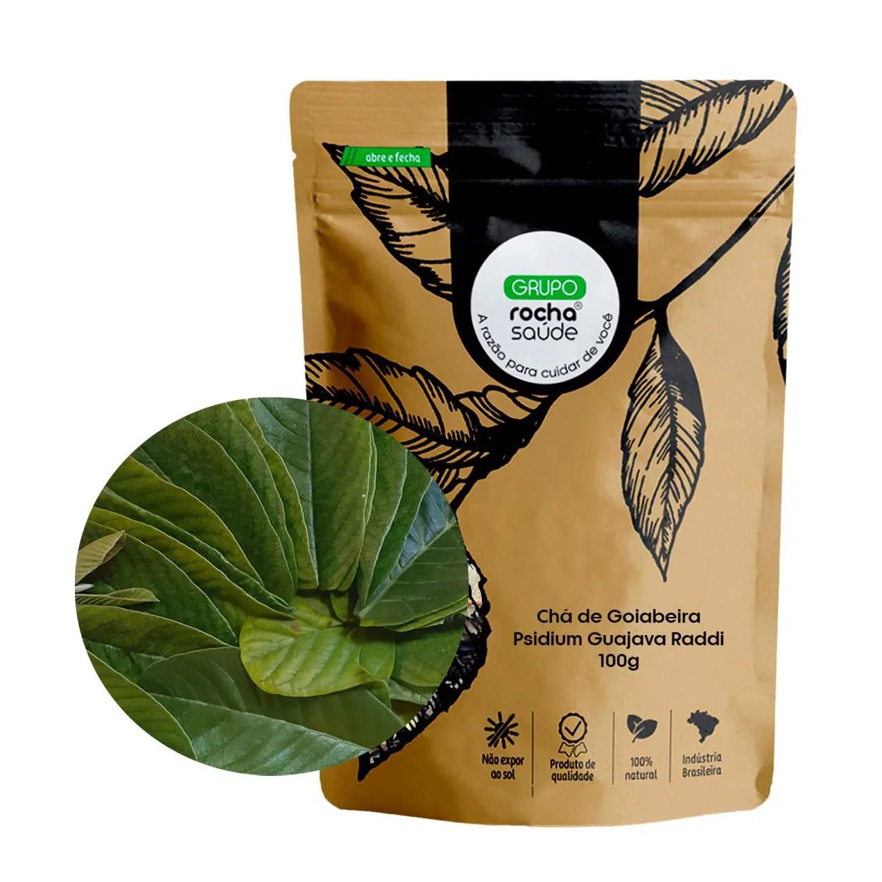 Chá de Goiabeira - Psidium Guajava Raddi - 100G