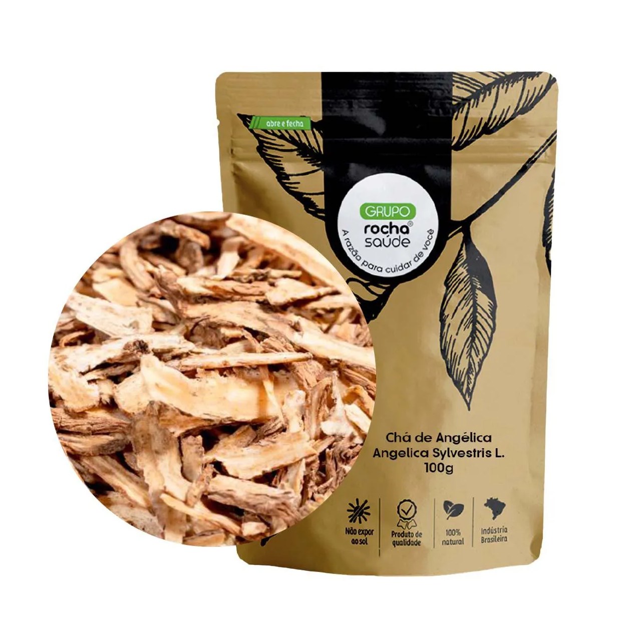 Chá de Angélica - Angelica Sylvestris L. - 100G