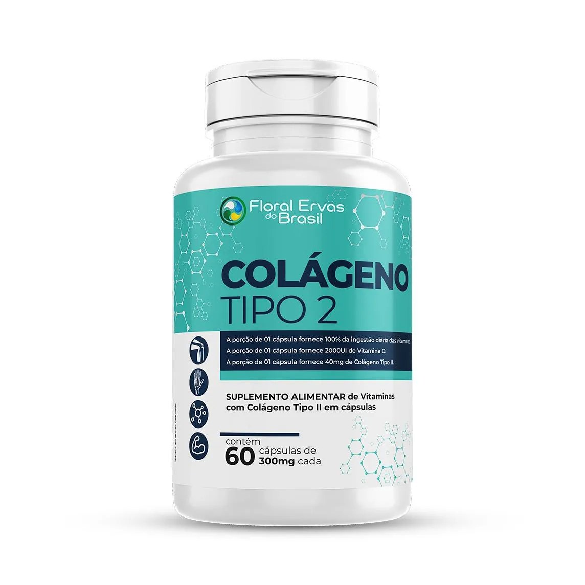 Colágeno Tipo 2 I I 60 Cápsulas + Vitaminas Máximo 1 Ao Dia