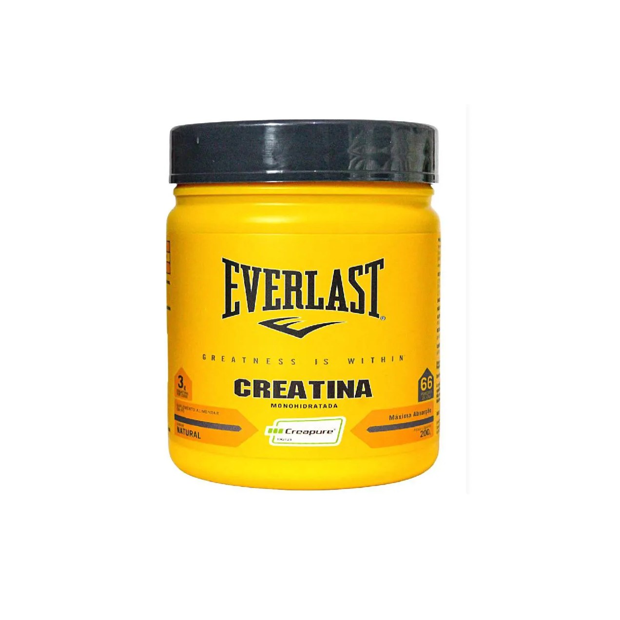 Creatina Monohidratada Everlast Creapure 200g