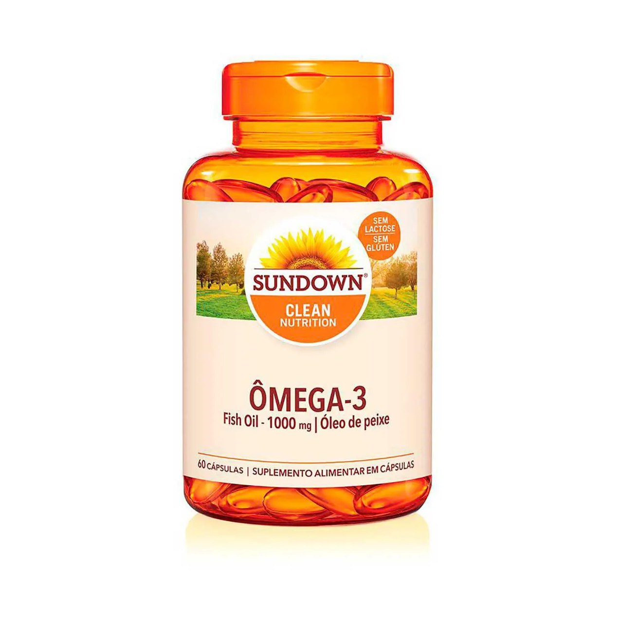 Ômega 3 Fish Oil 1000mg Sundown 60 cápsulas