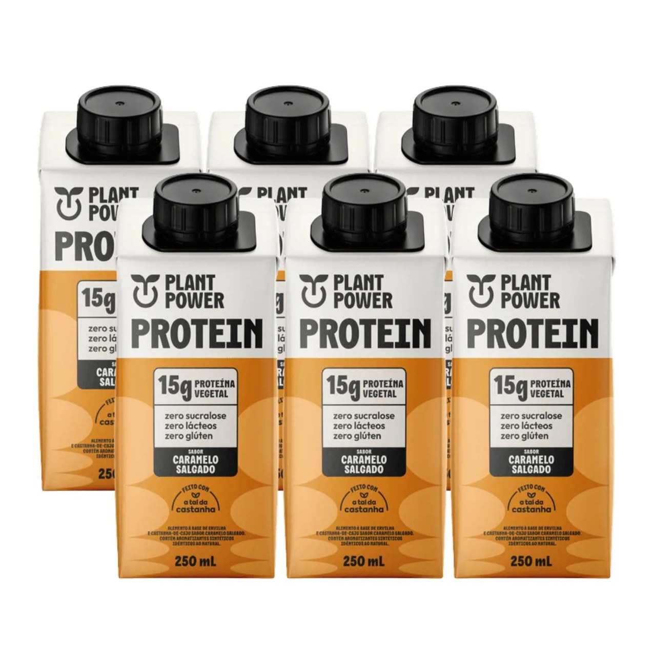 6x Bebida Vegetal 15g Protein Plant Power Caramelo Salgado 250ml