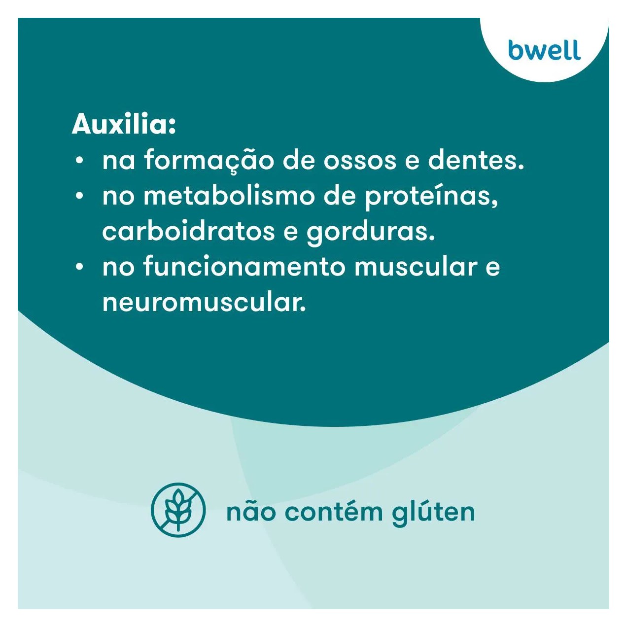 Di-Magnésio Malato 500mg bwell 60 Cápsulas