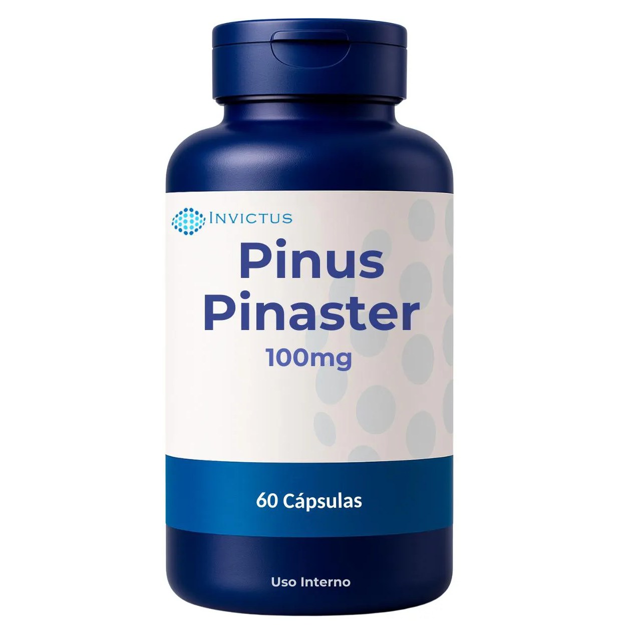 Pinus Pinaster 100mg – Antioxidante - 60 Capsulas