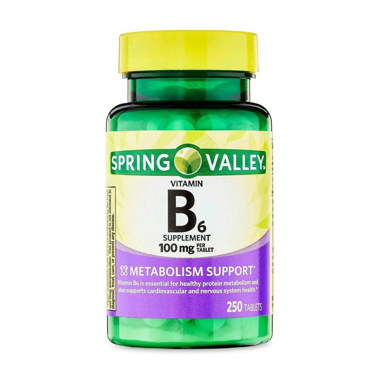 VITAMINA B6 100MG 250 TABLETES - SPRING VALLEY