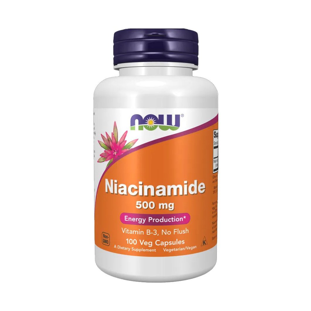 Niacinamida VIT B-3 500mg Now Foods 100 Veg Cáps Importado