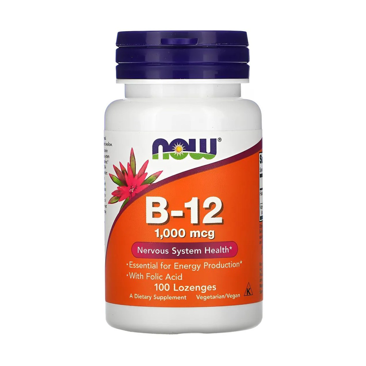 Vitamina B-12 1mg e Ácido Fólico Now Foods 100Past Importado