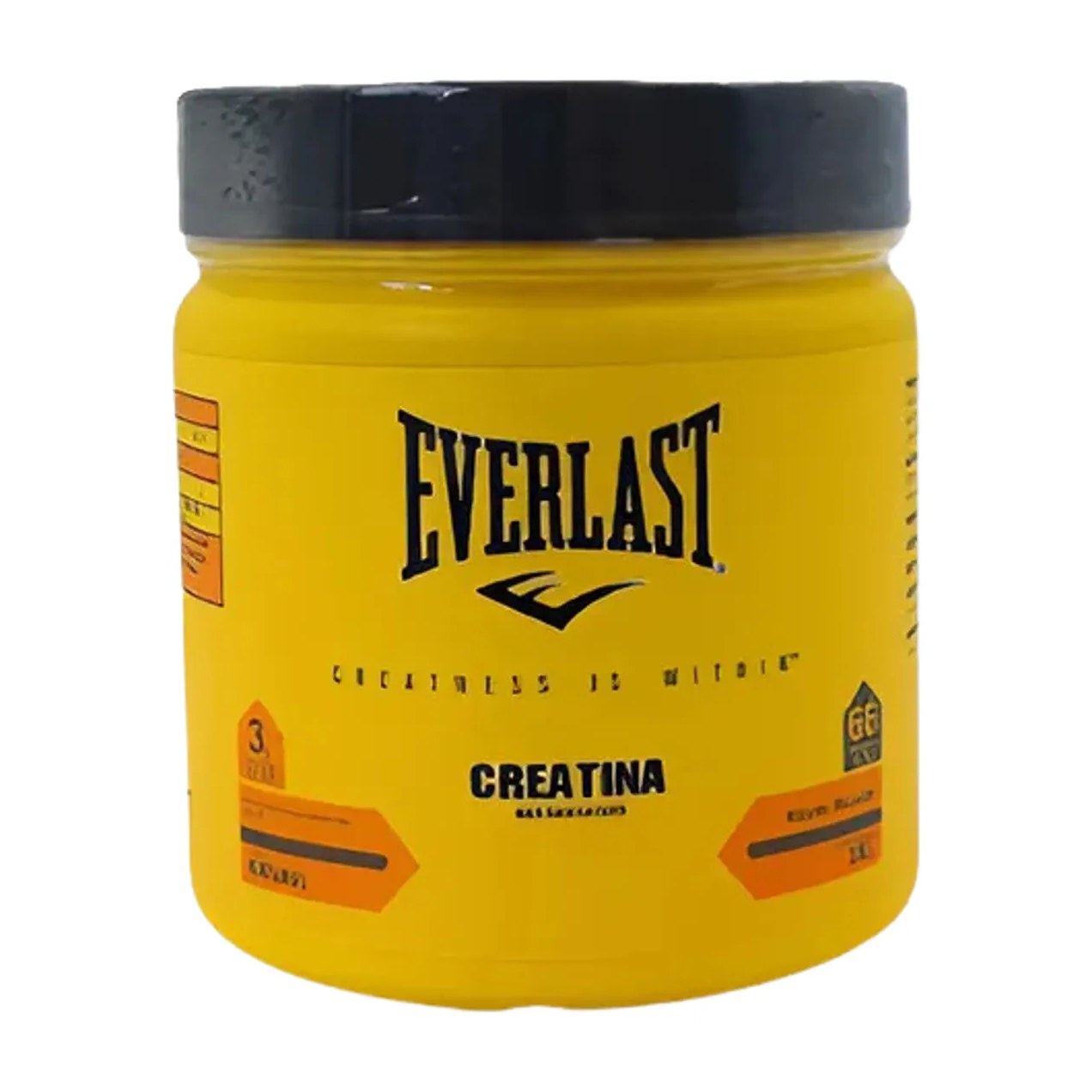 Creatina Monohidratada Everlast 200g