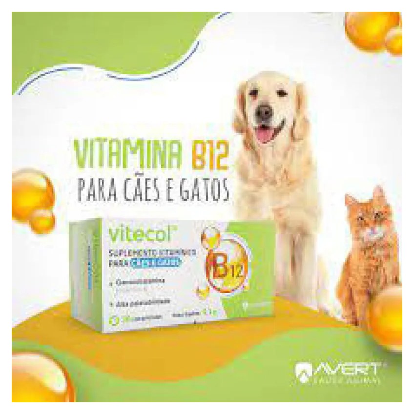 Suplemento Vitamínico Vitecol B12 com 30 Comprimidos para Cães e Gatos