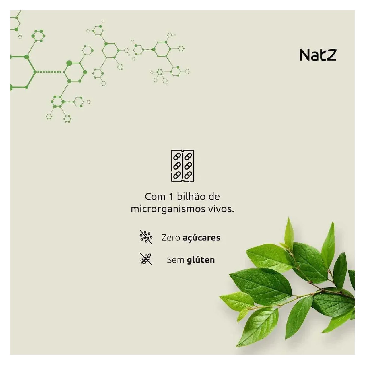 Probiótico Lactobacillus Acidophilus Natz 20 cápsulas
