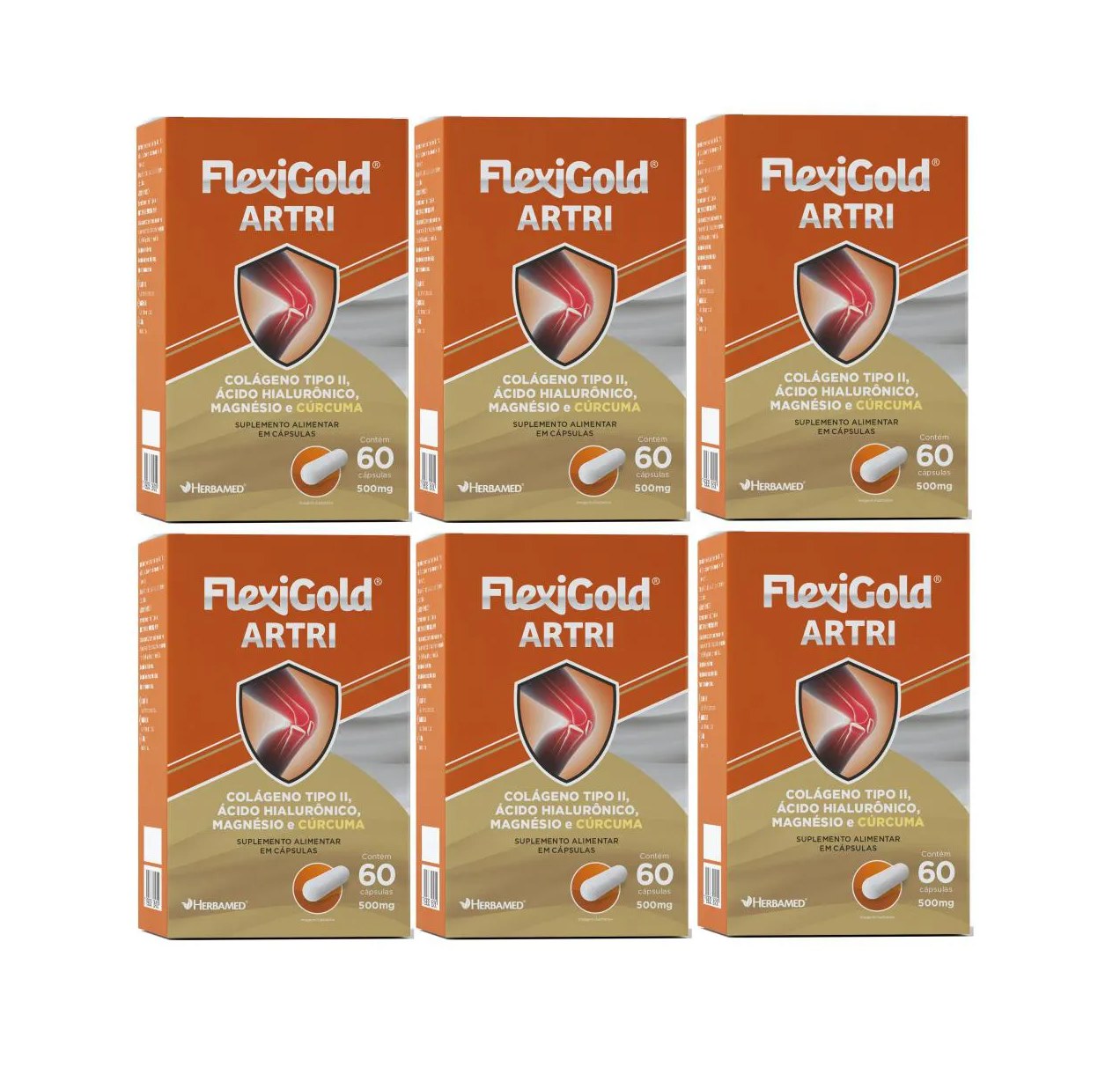 Kit 6 Flexigold Artri Colágeno Tipo 2 60 Cáp 40Mg - Herbamed