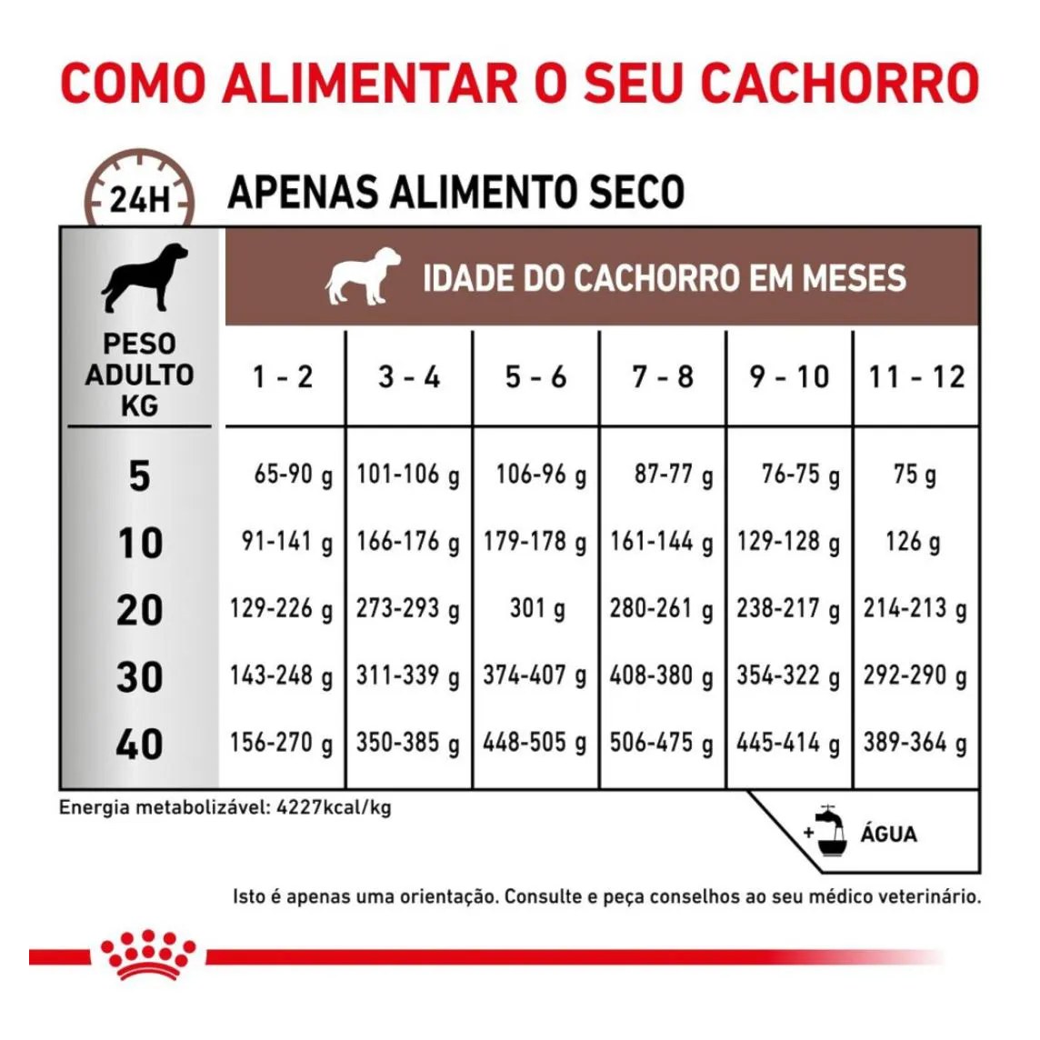 Ração Royal Canin Dieta Veterinária Gastrointestinal Puppy para Cães Filhotes 2,0Kg