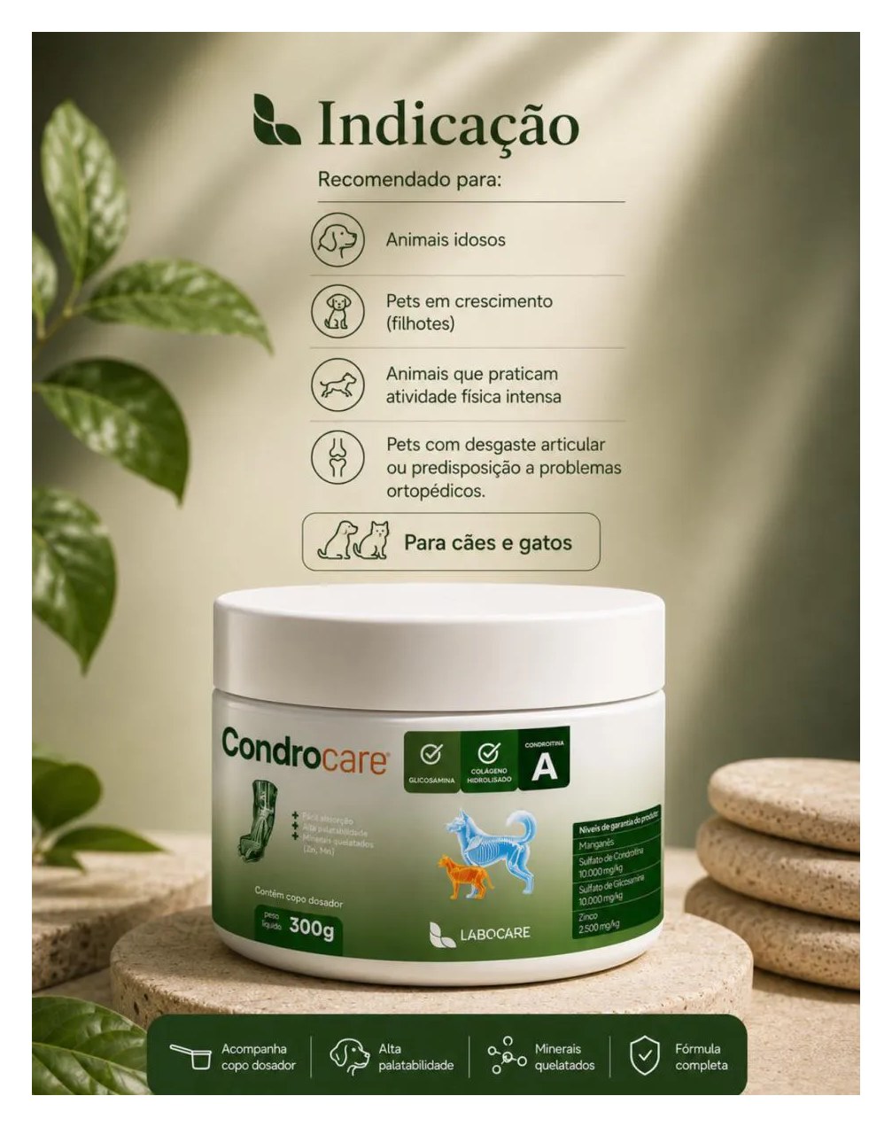 Condrocare Articular, Suplemento Alimentar - 300g