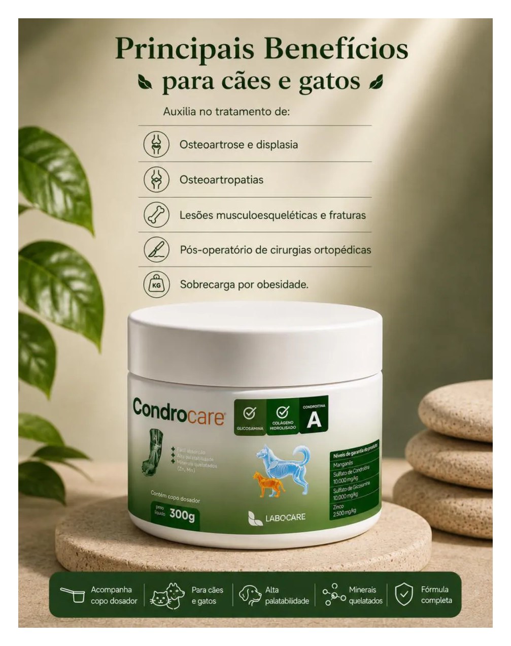 Condrocare Articular, Suplemento Alimentar - 300g