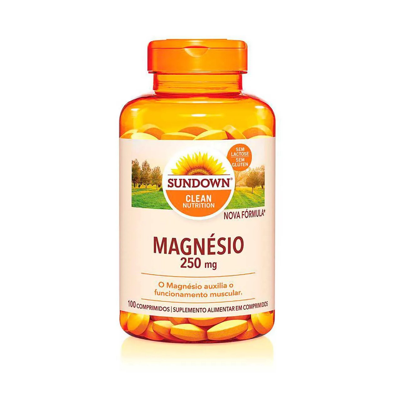 Magnésio Sundown 250mg 100 comprimidos